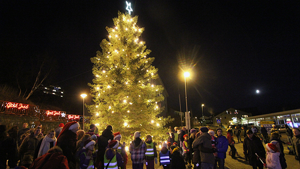 Nyhetsklipp: Julegrana ble tent - 29/11-2014